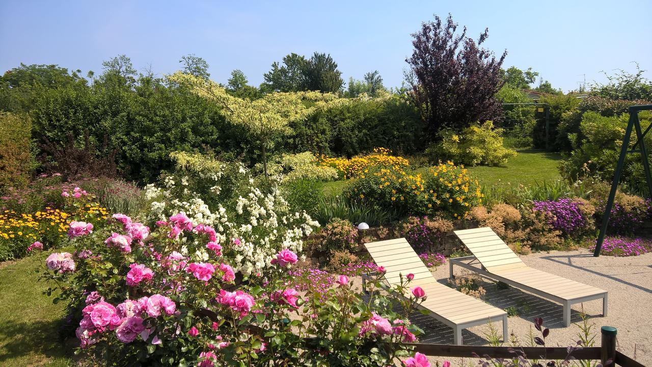La Collina Since 2008 No Smoking B&B Varese Exterior foto